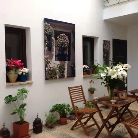 Hotel Boutique Alma Andalusi-3