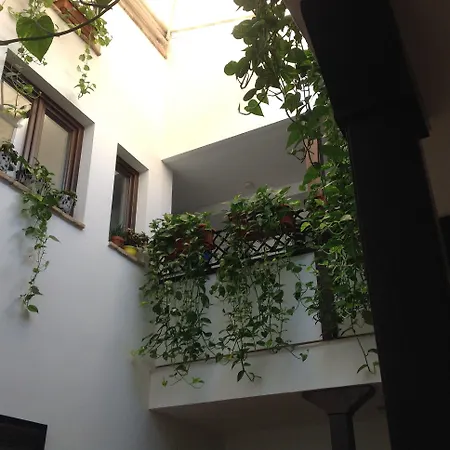 Hotel Boutique Alma Andalusi-2